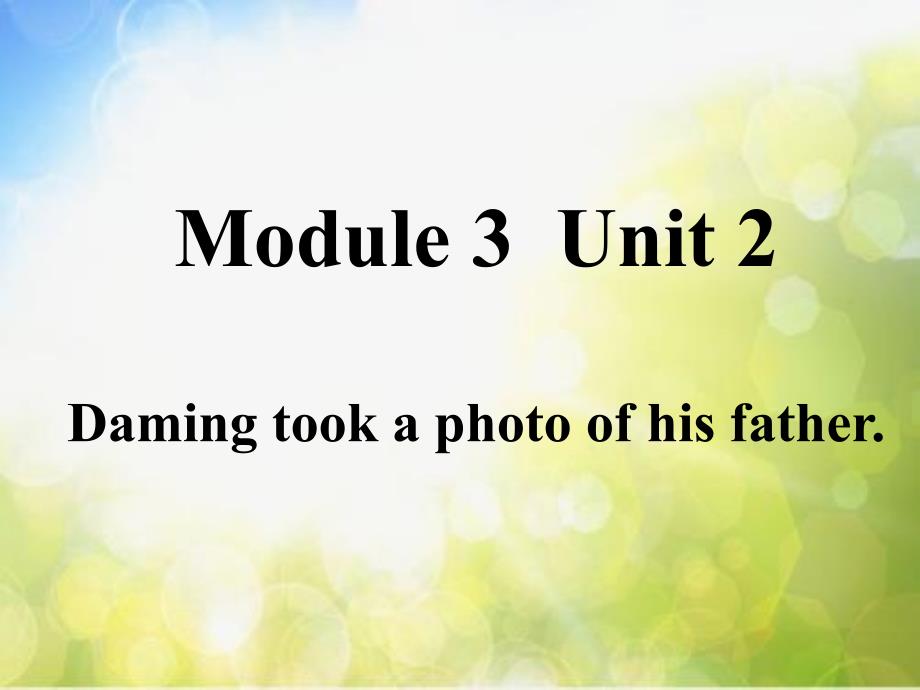 外研版五年级英语上册M3U2-Daming-took-a-photo-of-his-father (1)_第2页