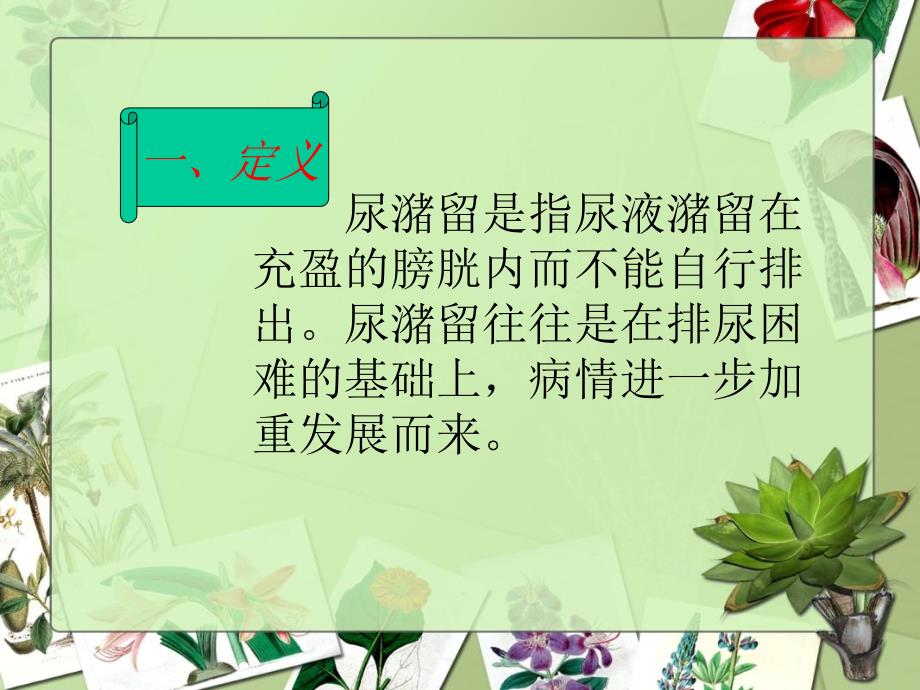 尿潴留的护理_第3页