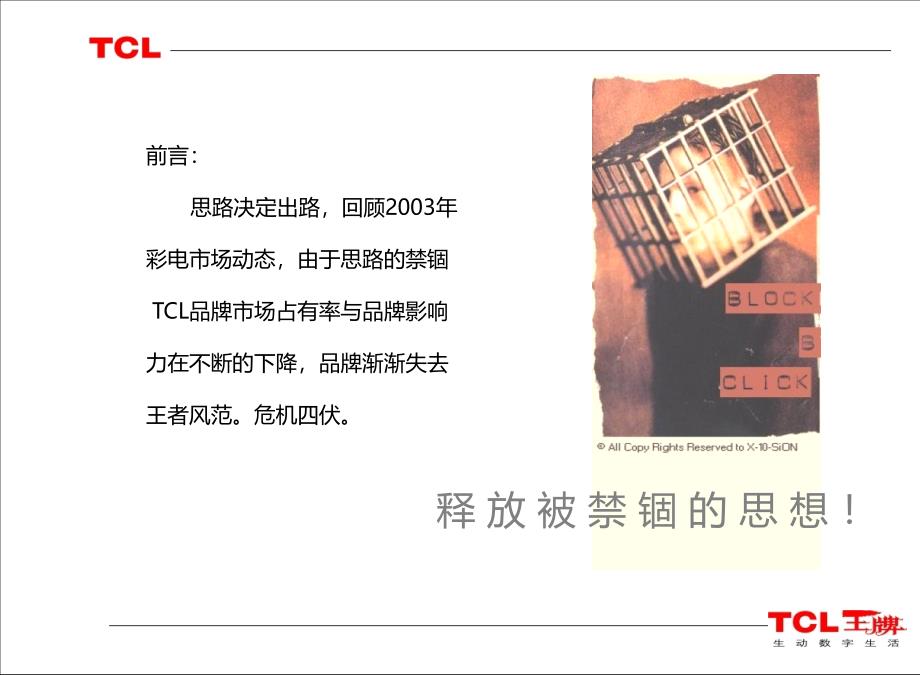 TCL网络电视战略推广规划及品牌概念更新策略方案_第2页