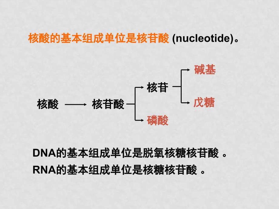 天津外院附校整理高中生物全套课件人教版必修二232DNA的分子结构_第2页