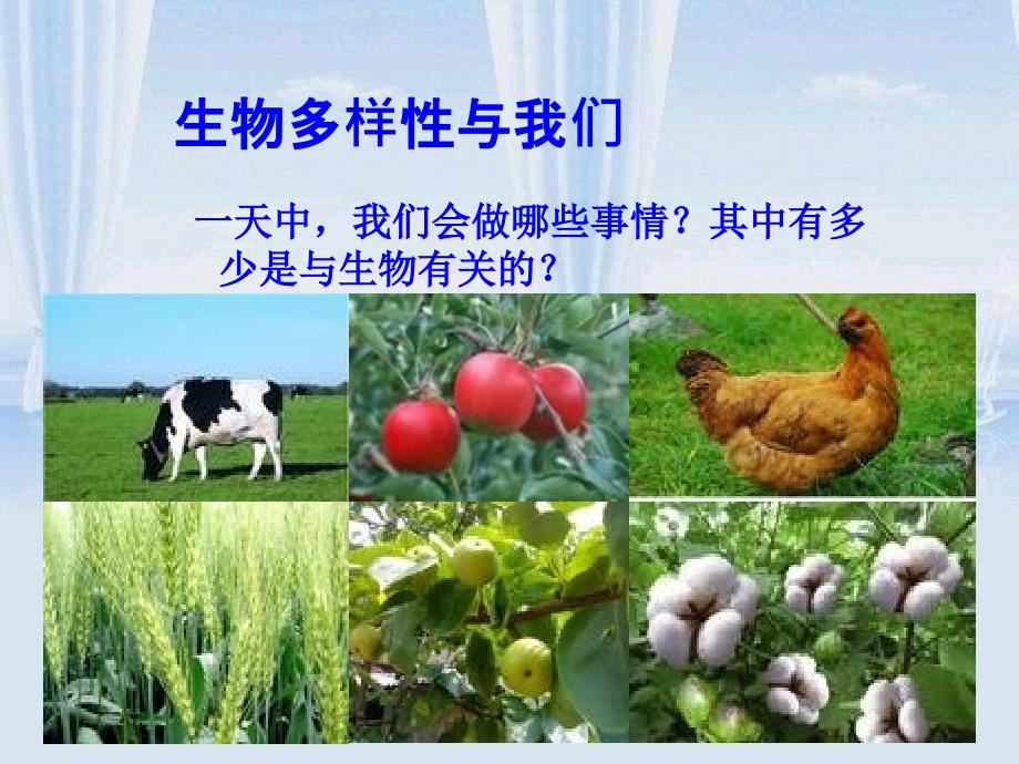 第八节生物多样性的意义_第3页