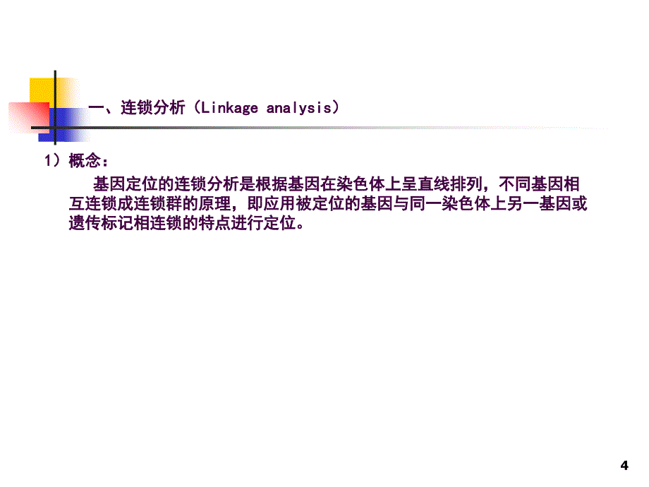 基因的定位克隆ppt课件_第4页