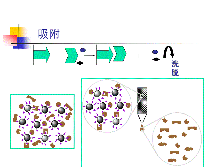 亲和层析原理和步骤_第4页