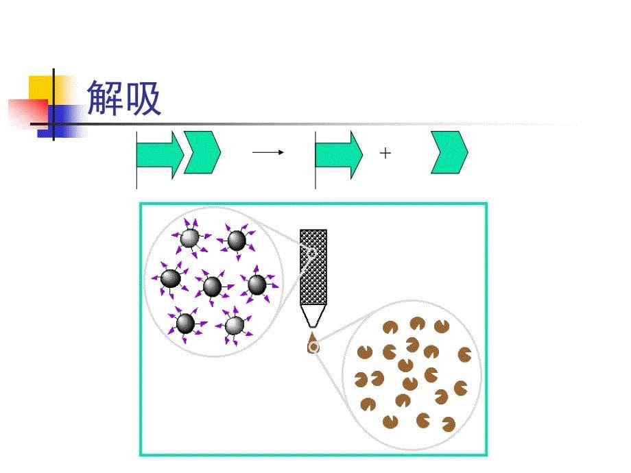 亲和层析原理和步骤_第5页