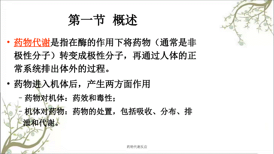 药物代谢反应课件_第2页