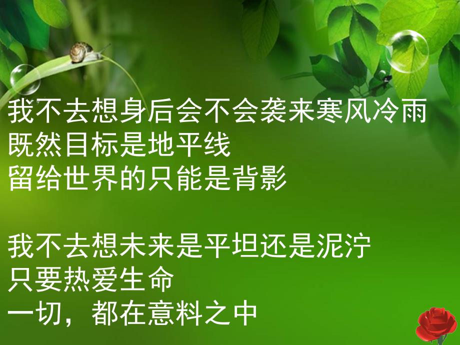 热爱生命.ppt课件_第4页