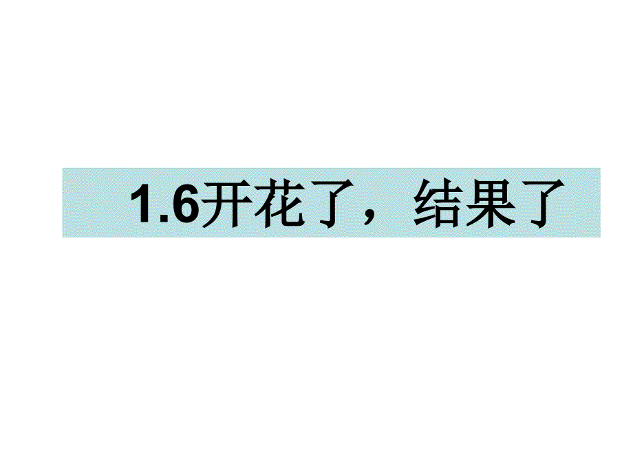 三年级下册科学课件1.6开花了结果了 教科版(共9张PPT)教学文档_第1页