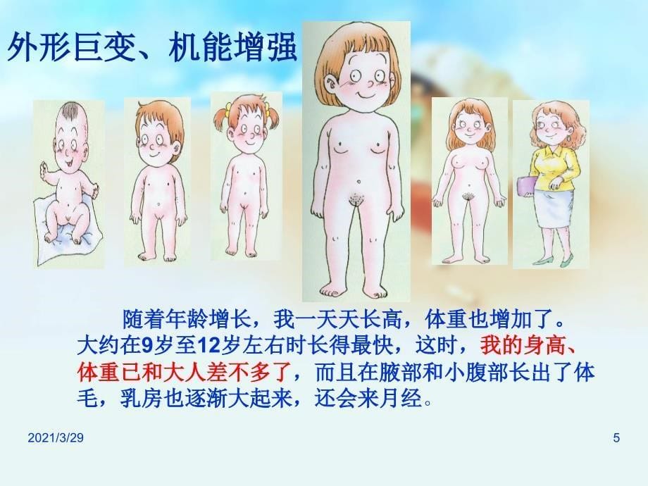 女生青期生理卫生知识讲座.PPT_第5页