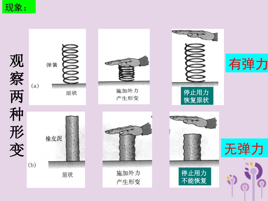 八年级物理下册7.3弹力弹簧测力计课件新版教科版_第3页