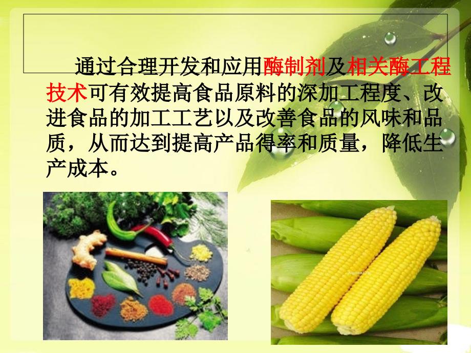 酶在食品中的应用.ppt_第2页