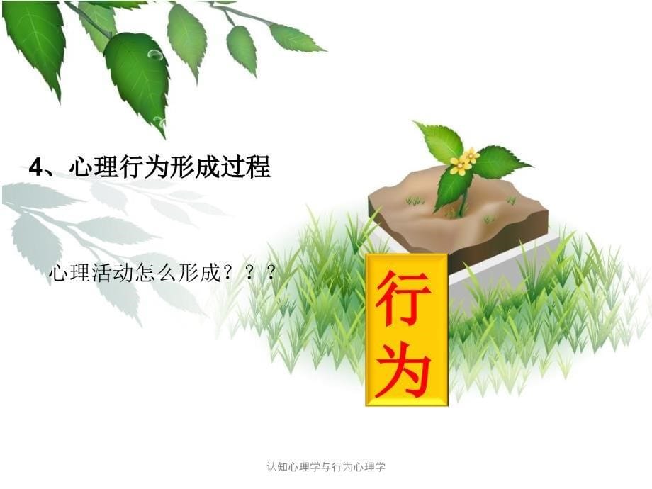 认知心理学与行为心理学课件_第5页