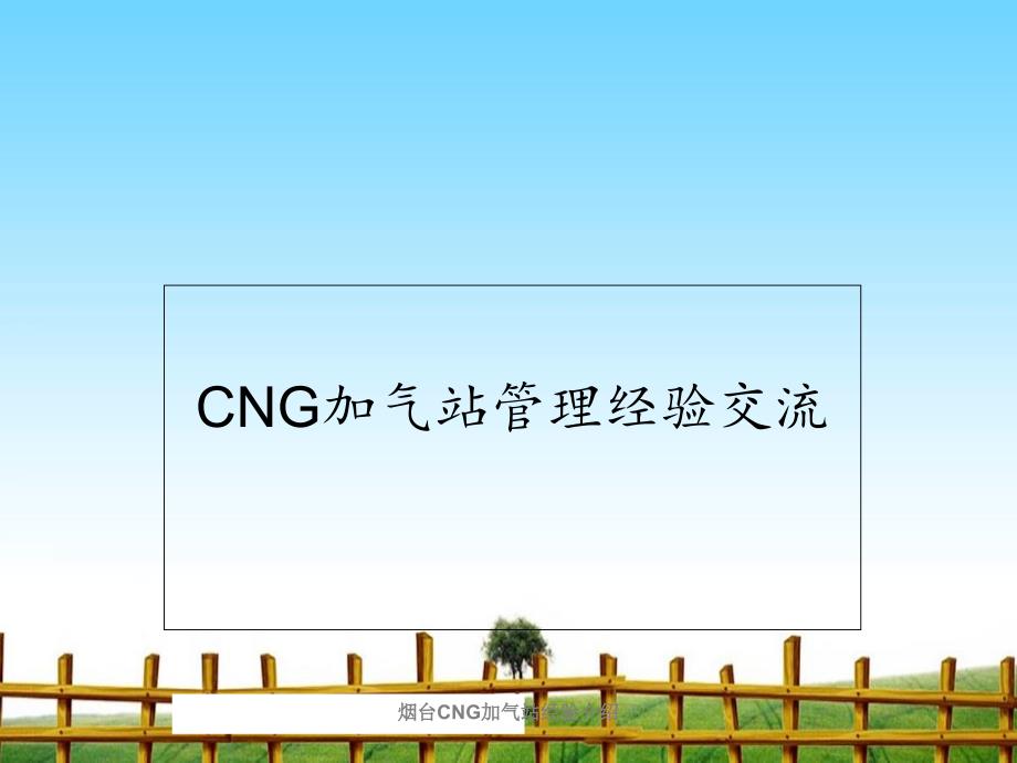烟台CNG加气站经验介绍_第1页