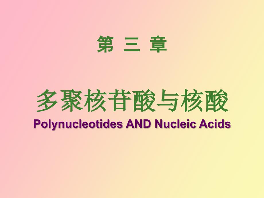 多聚核苷酸与核酸_第1页