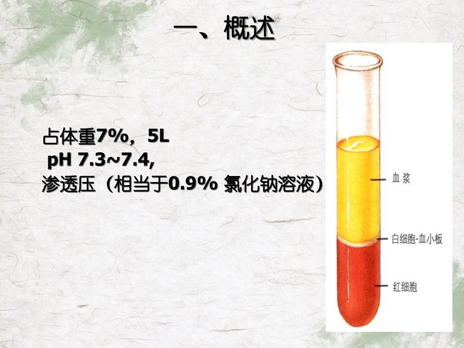 组织学与胚胎学血液_第2页