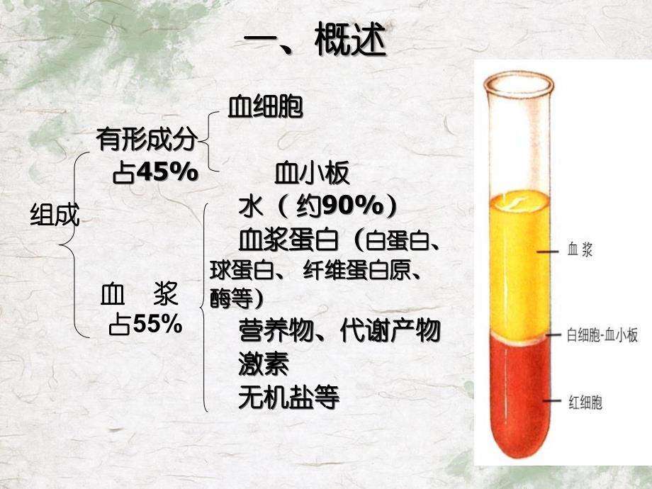 组织学与胚胎学血液_第3页