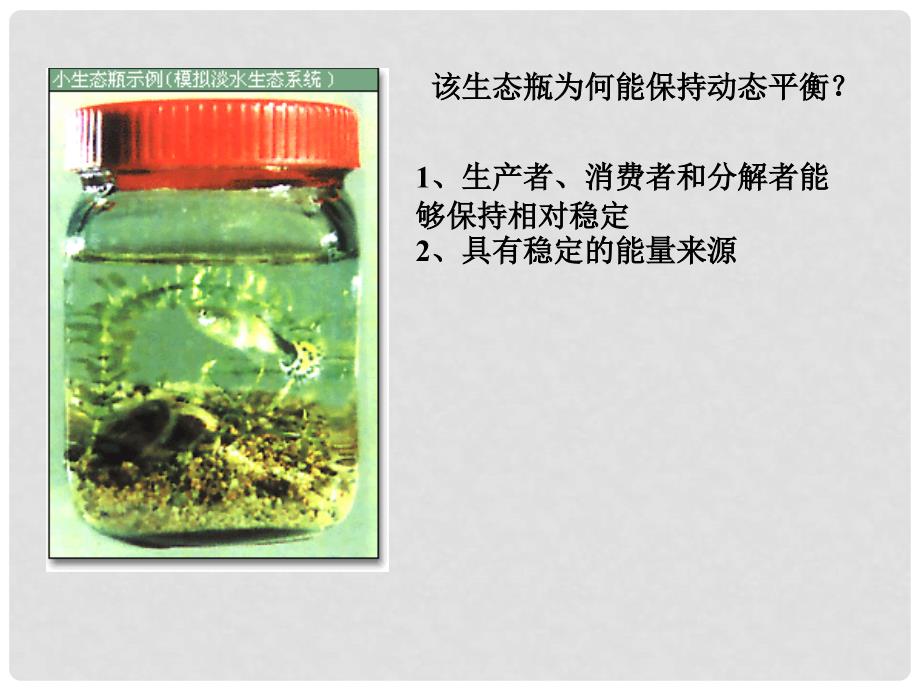 云南省弥勒县庆来中学高中生物 生态系统的能量流动2课件 新人教版必修3_第3页