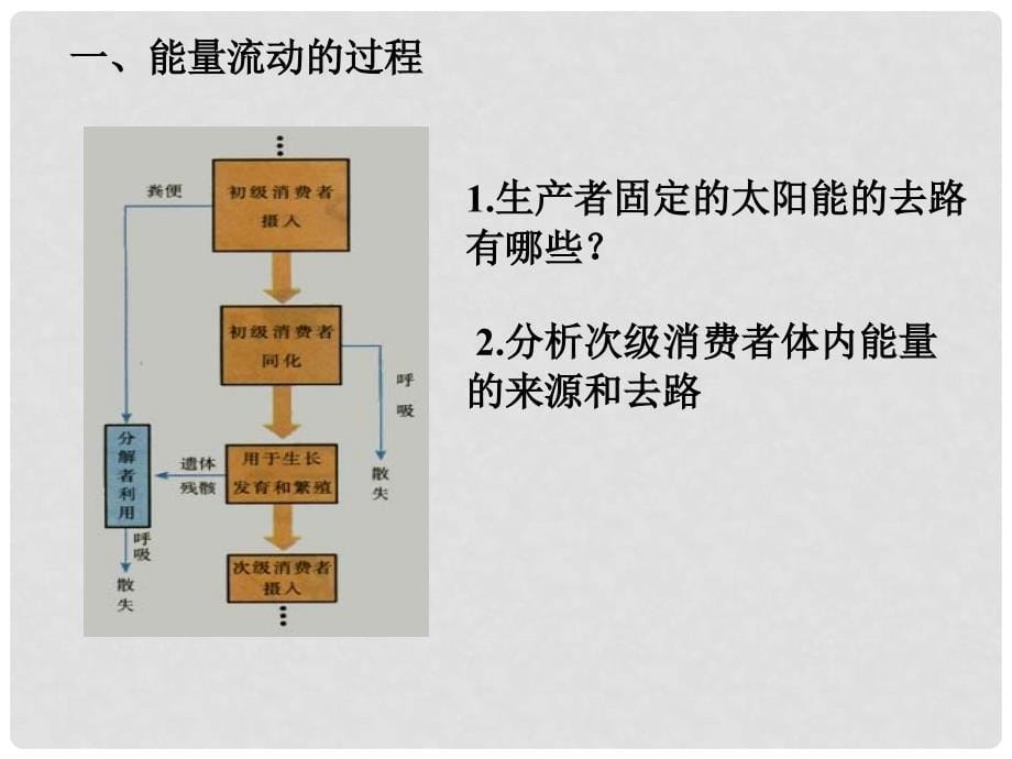 云南省弥勒县庆来中学高中生物 生态系统的能量流动2课件 新人教版必修3_第5页