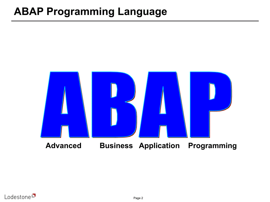 ABAP Programming_第2页