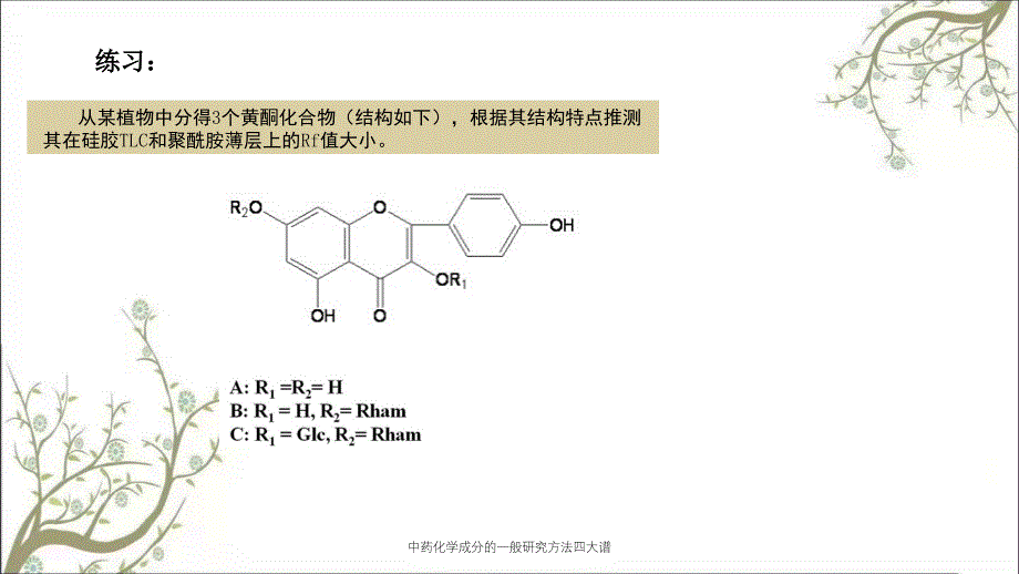 中药化学成分的一般研究方法四大谱_第4页