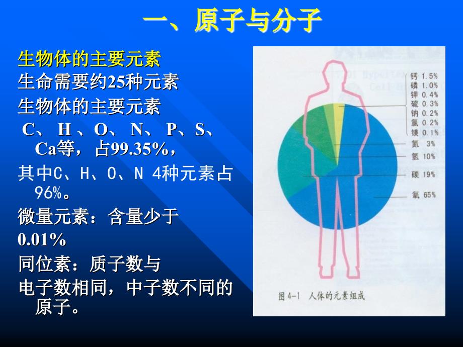 《细胞的化学基础》PPT课件.ppt_第2页