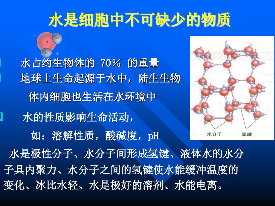 《细胞的化学基础》PPT课件.ppt_第4页