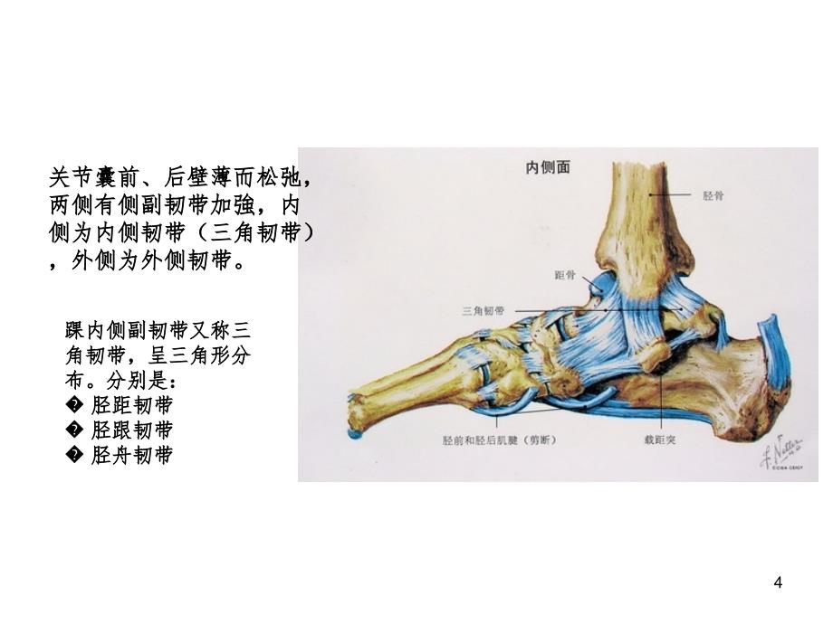 踝关节扭伤SprainedanklePPT精选文档_第4页