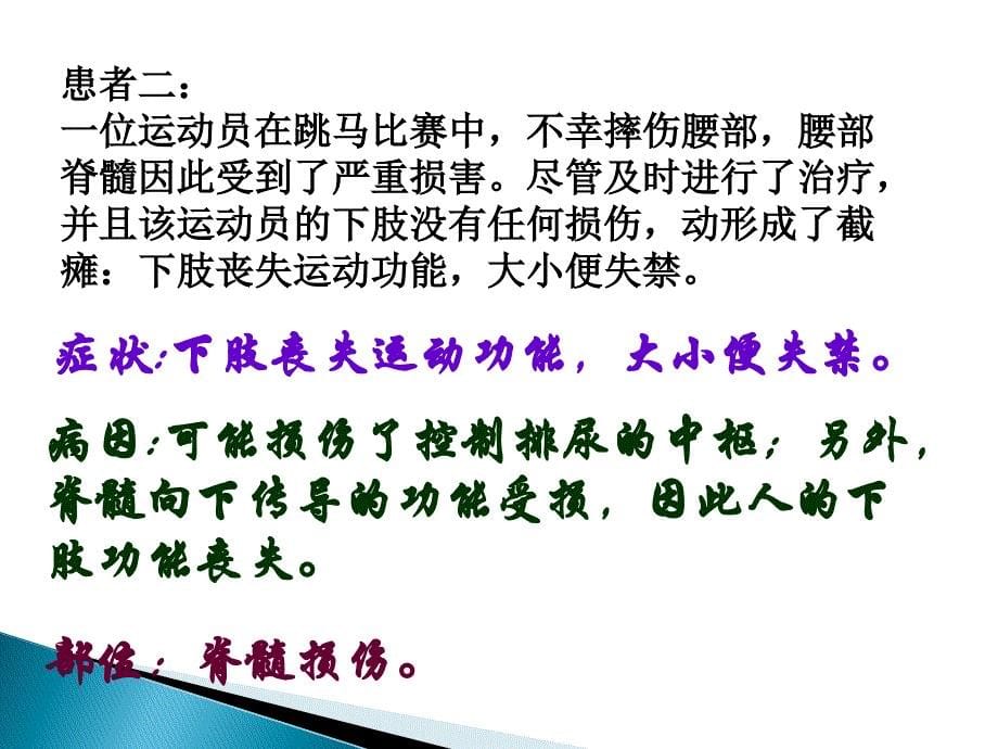 神经系统的组成ppt-.ppt_第5页