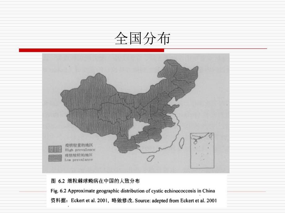 包虫病基础知识_第4页