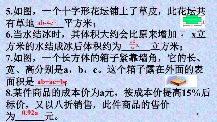 初中数学整式文档资料_第5页