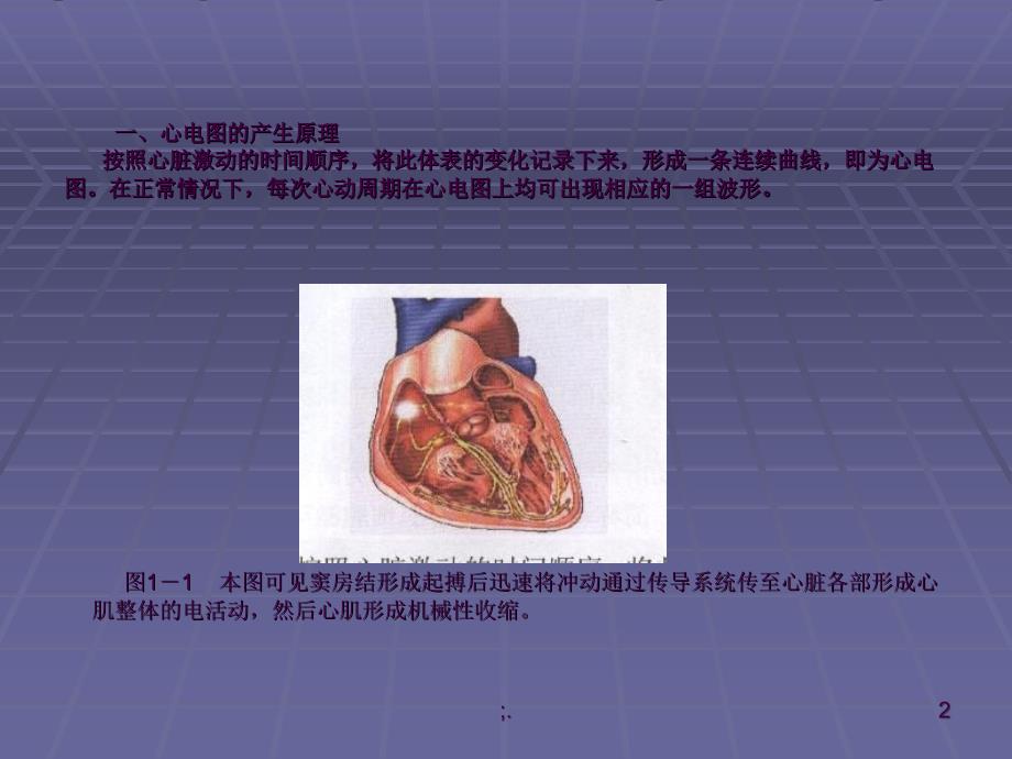 心电图教程ppt课件_第2页