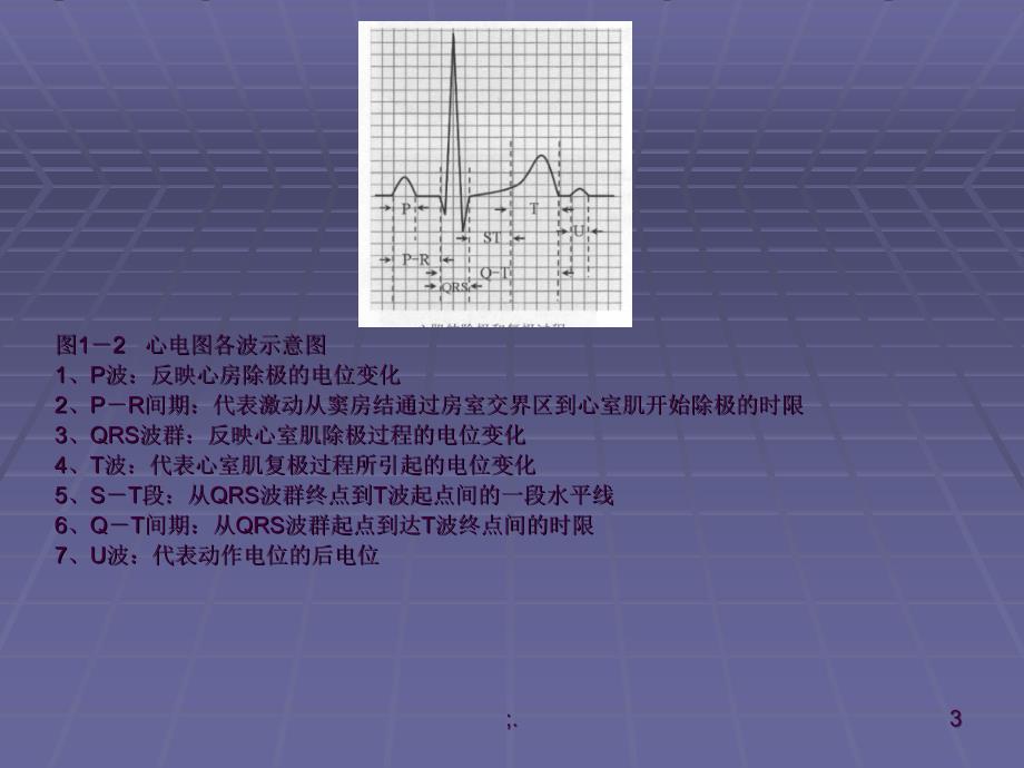 心电图教程ppt课件_第3页