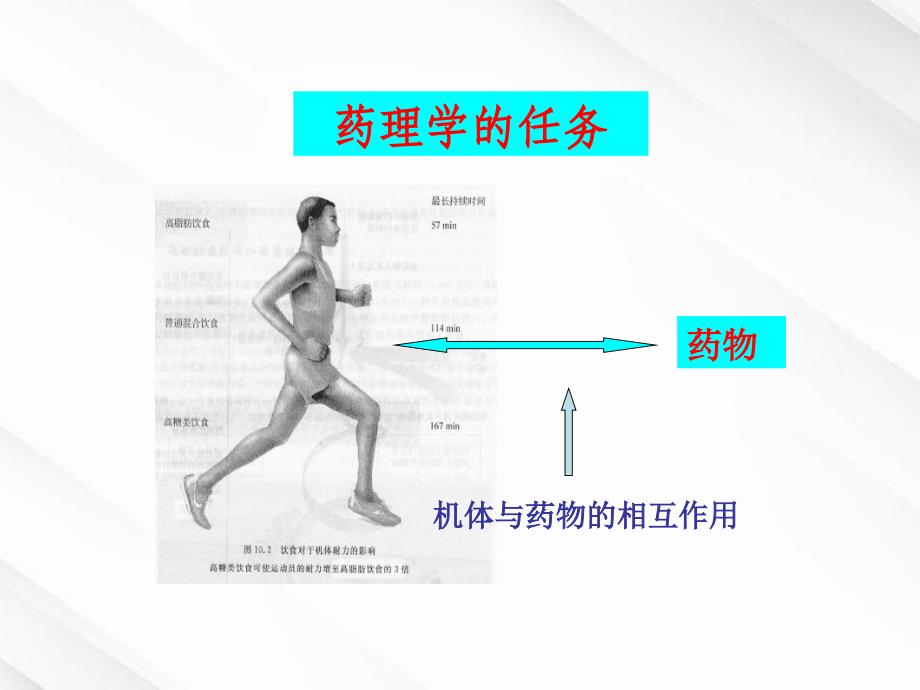 《药学基础知识概述》课件_第4页