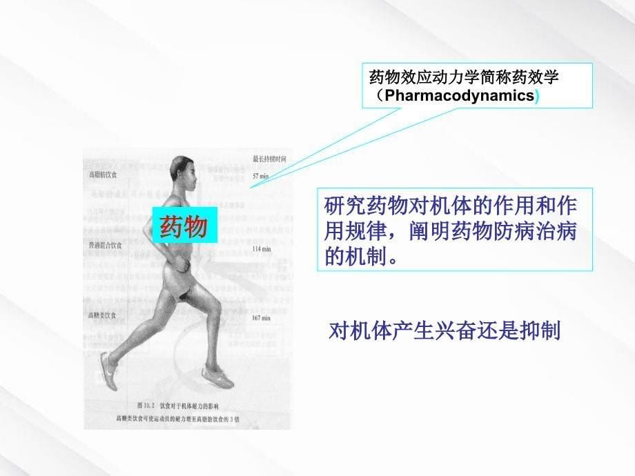 《药学基础知识概述》课件_第5页