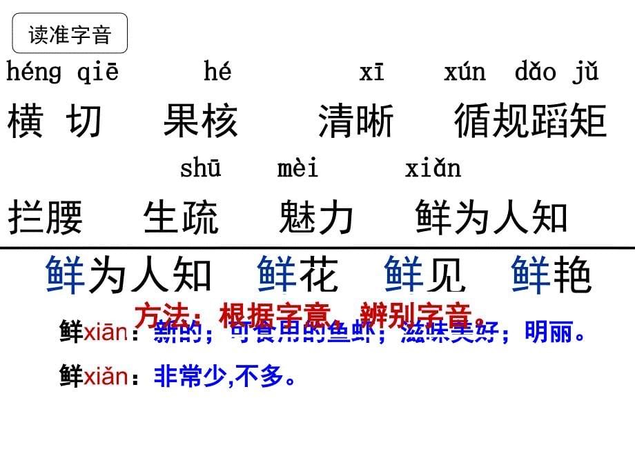 苹果里的五角星课件_第5页