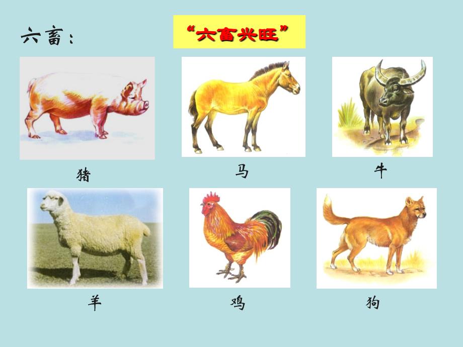 人教版历史必修二第一课发达的古代农业课件_第3页