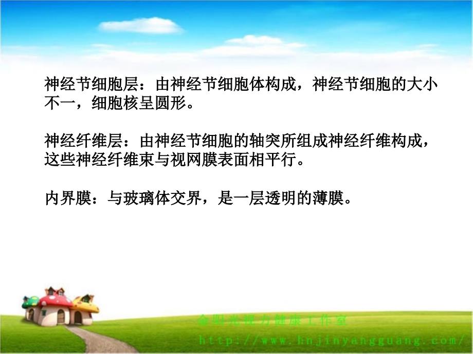 动物视网膜的组织结构第二部分.ppt_第3页