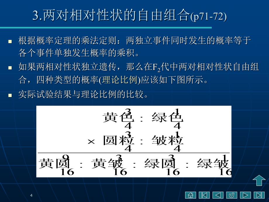 孟德尔独立分配课件_第4页