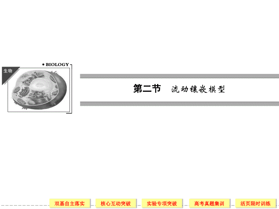 1-4-2流动镶嵌模型_第1页