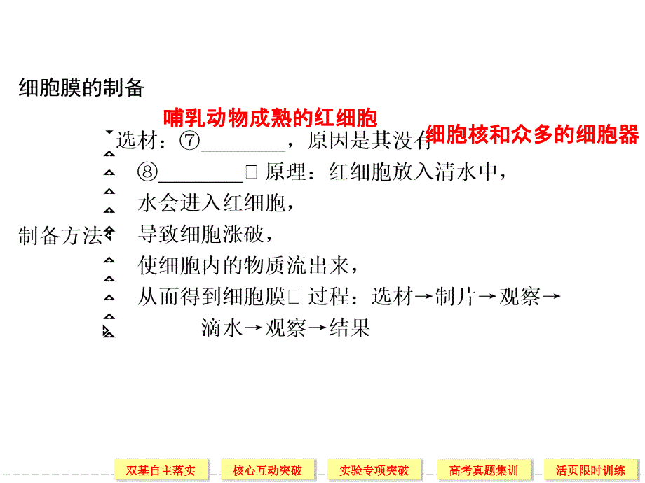 1-4-2流动镶嵌模型_第4页