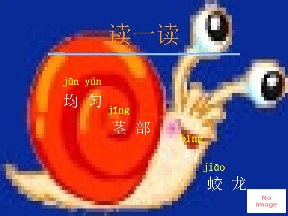 爬山虎的脚教学课件_第3页