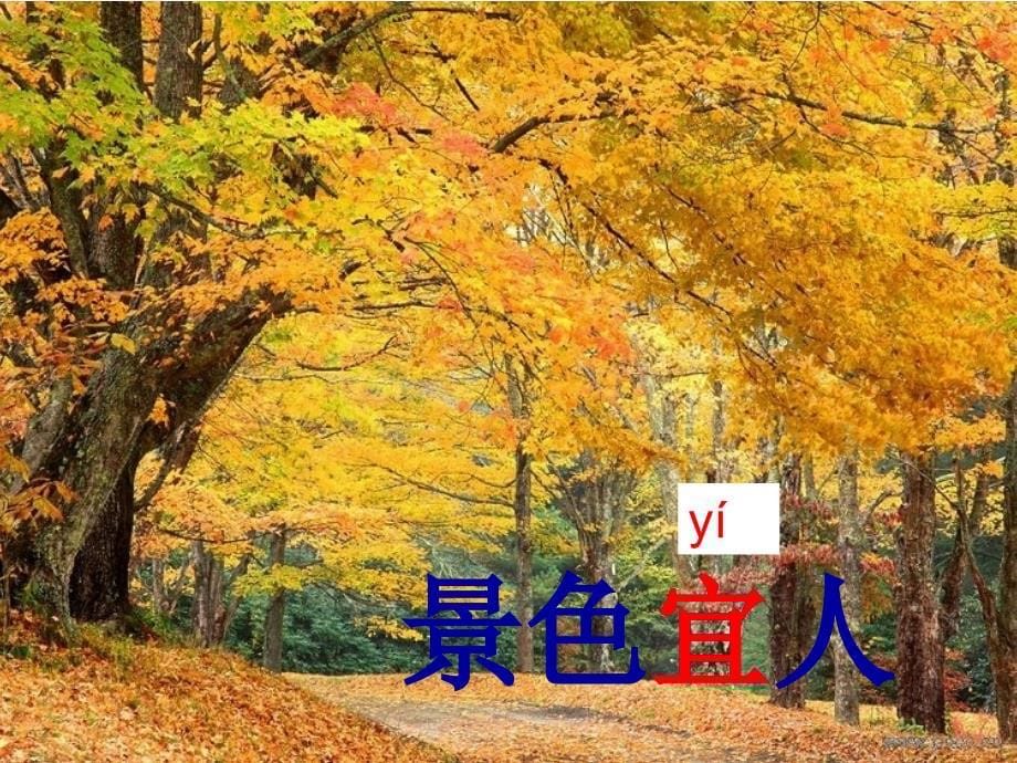 人教版二年级上册识字一课件PPT.ppt_第5页