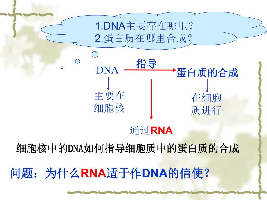 高中生物浙科版必修二第三章第四节遗传信息的表达——RNA和蛋白质的合成_第3页