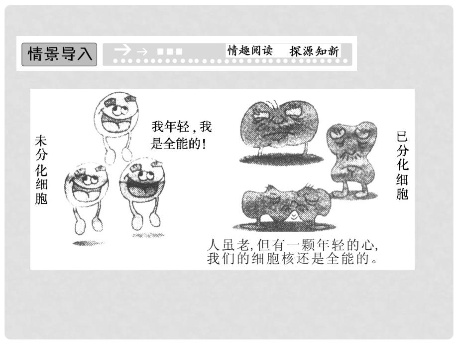 高中生物 第四单元 细胞的生命周期 第一章 细胞的增殖与分化 4.1.2 细胞的分化课件 中图版必修1_第2页