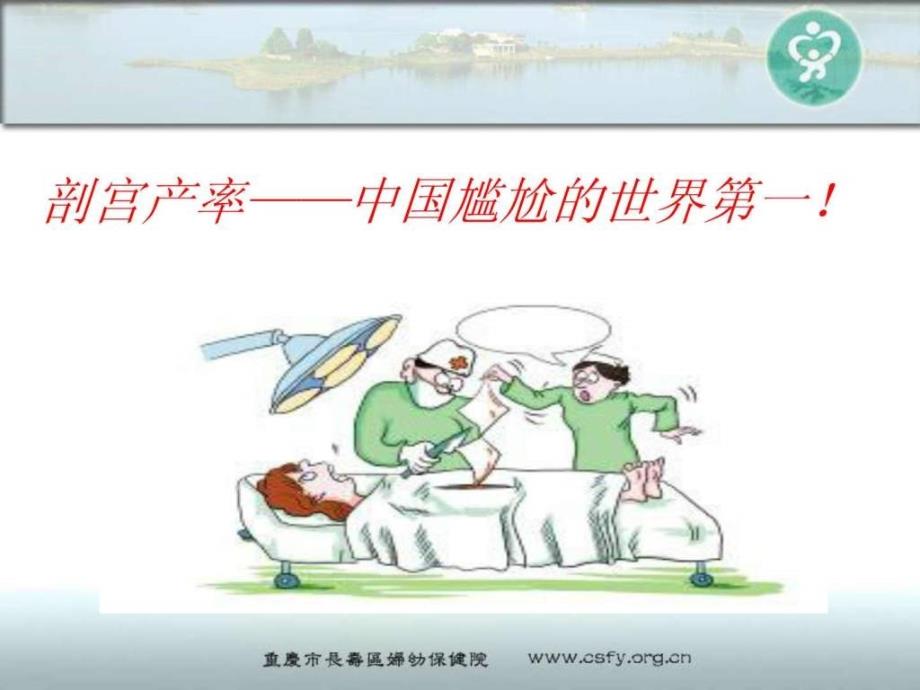 剖宫产现状分析.ppt_第2页