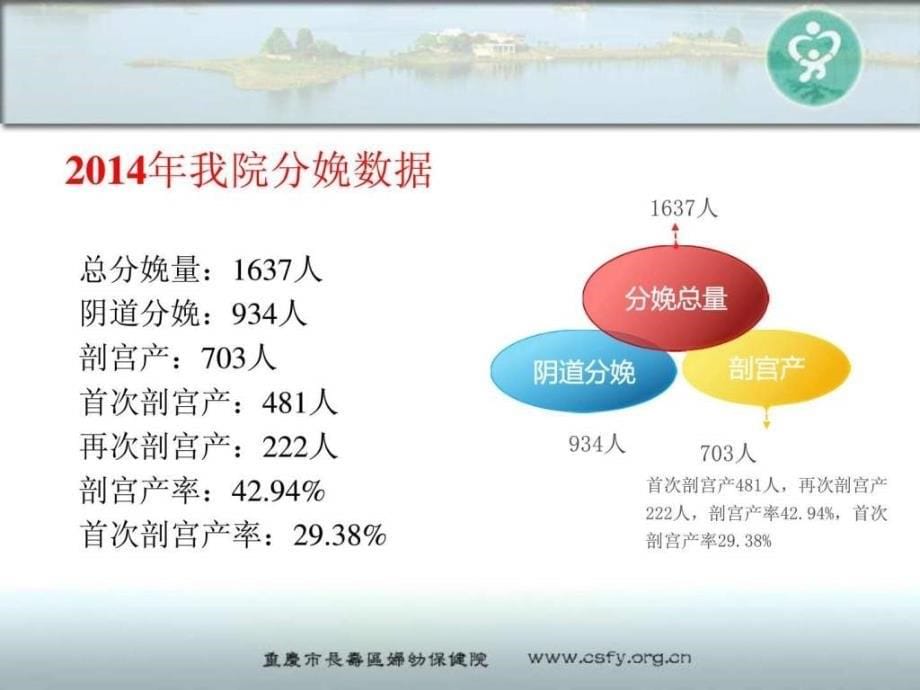 剖宫产现状分析.ppt_第5页