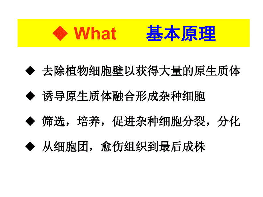 植物原生质体融合技术PPT优秀课件_第3页