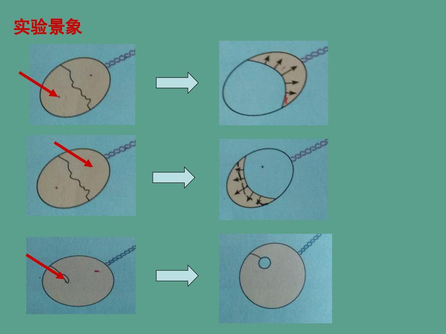 粤教版选修332.5液体ppt课件_第2页