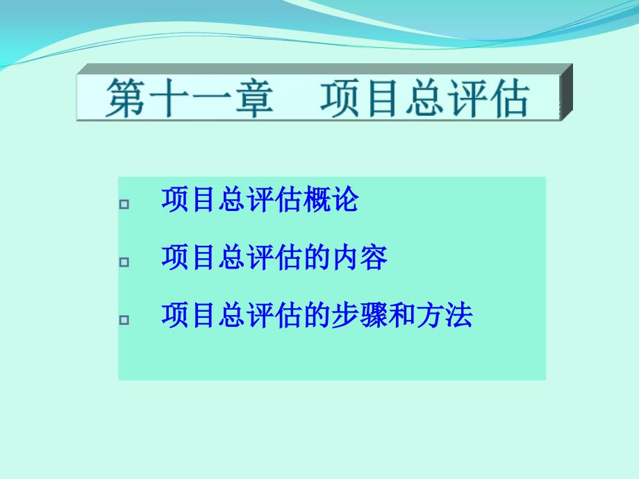 某项目总评估概述_第1页