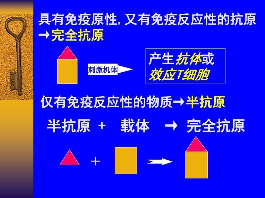 篇医学免疫学基础PPT课件_第5页