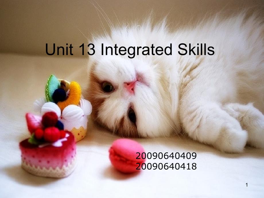 英专教学法IntegratedSkills_第1页